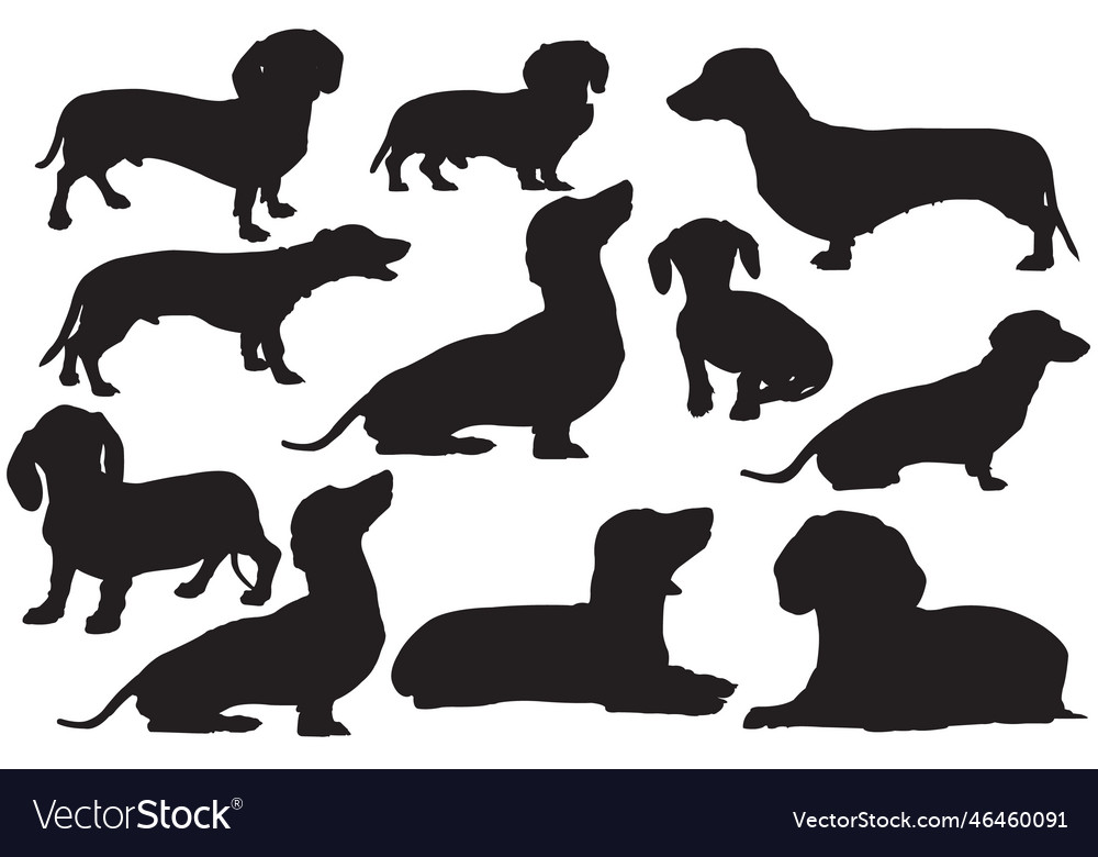 Dachshund silhouettes Royalty Free Vector Image