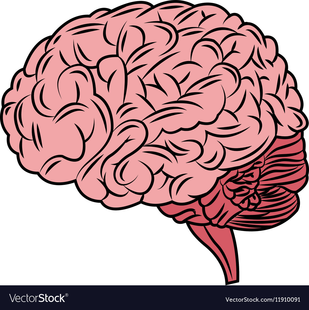 Isolated brain design Royalty Free Vector Image