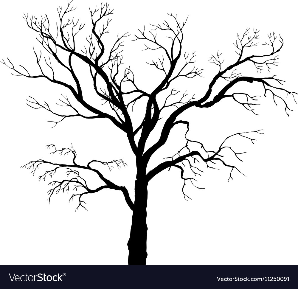 Download Winter tree silhouette Royalty Free Vector Image