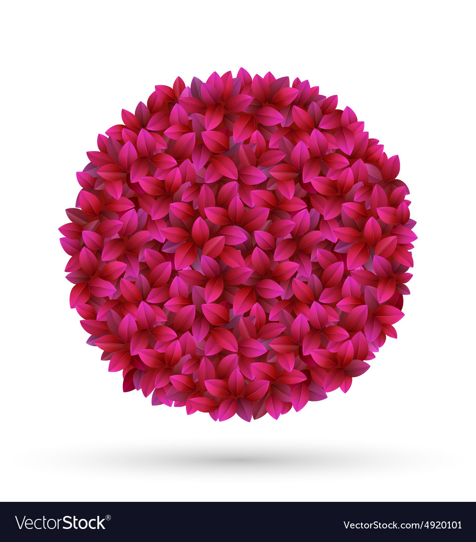 flower petals