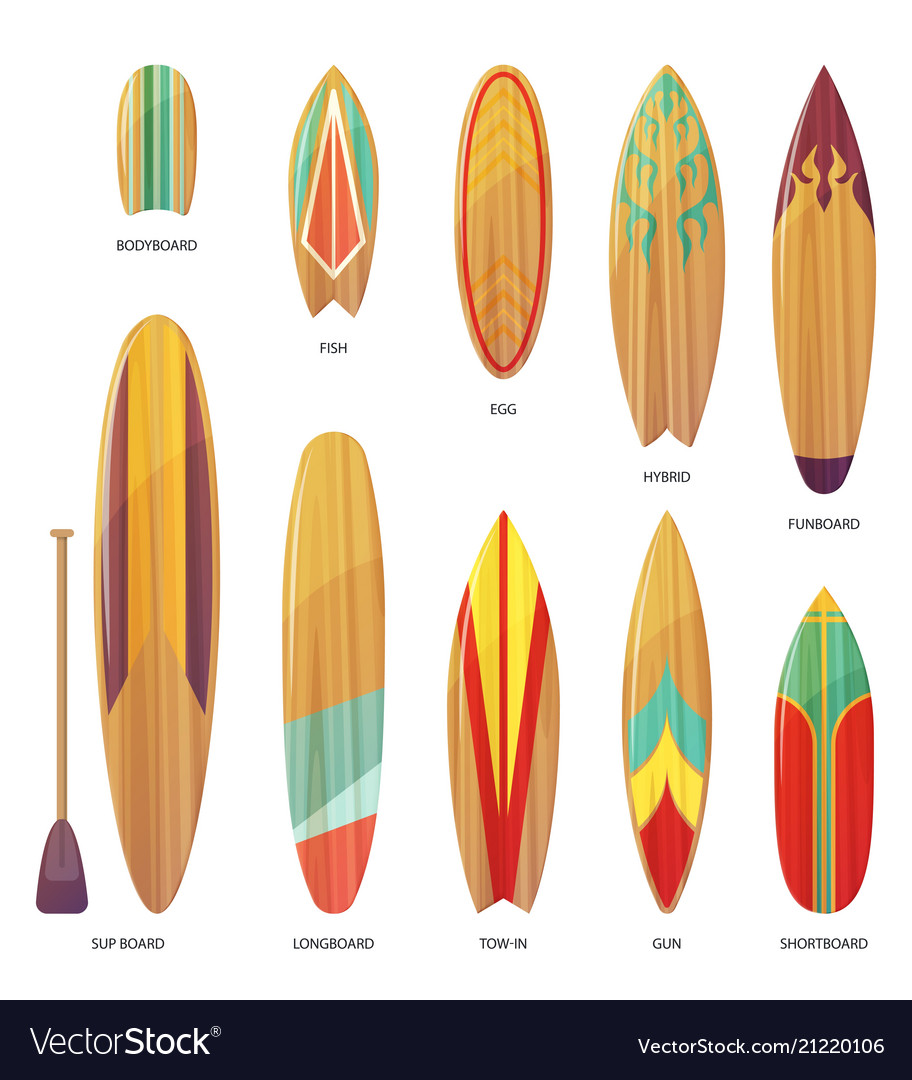 Set isolated different types surfboards Royalty Free Vector