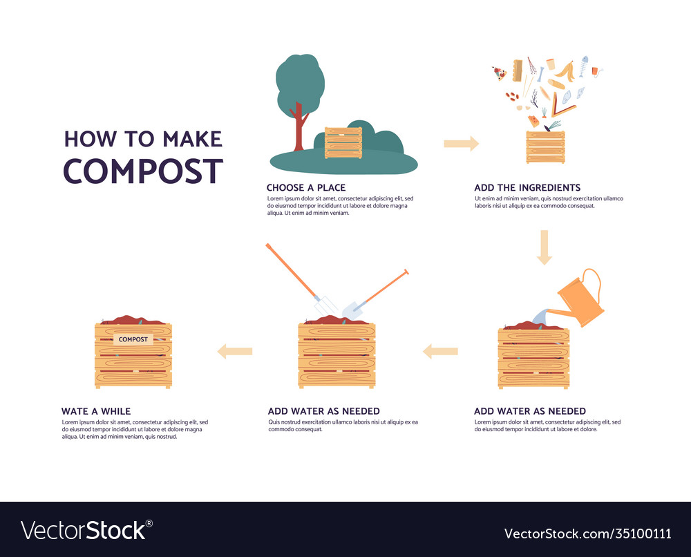 Infographic how to make compost fertilizers Vector Image