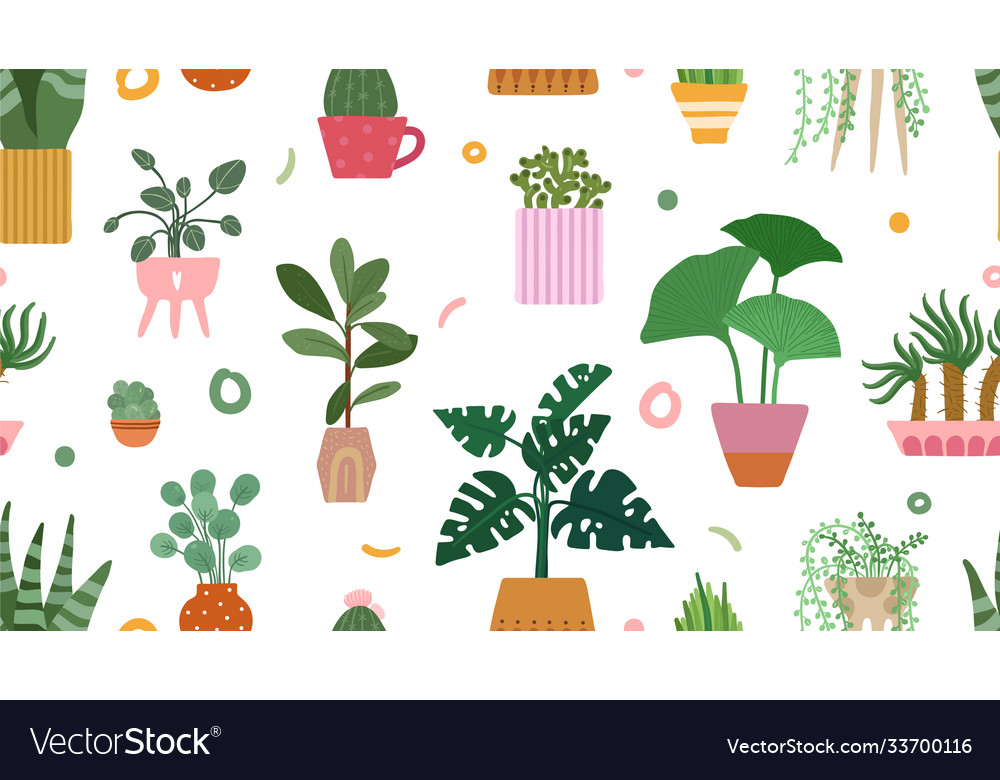 Succulent pattern home plants on pots background vector image Succulent pattern home plants on pots background