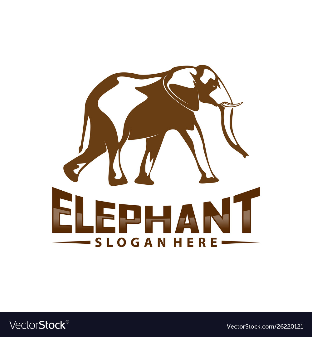 Elephant logo design animal template icon Vector Image