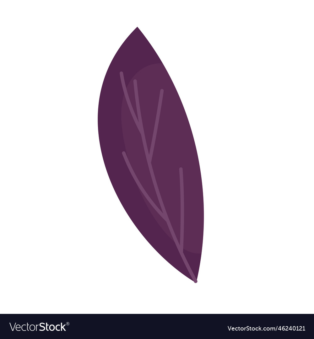 Purple leave plant foliage Royalty Free Vector Image