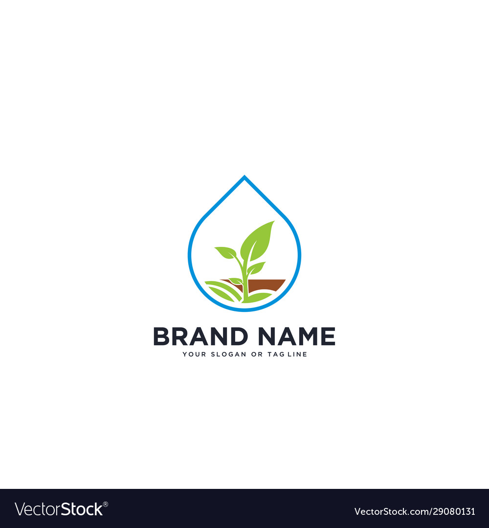 Logo design water plant Royalty Free Vector Image