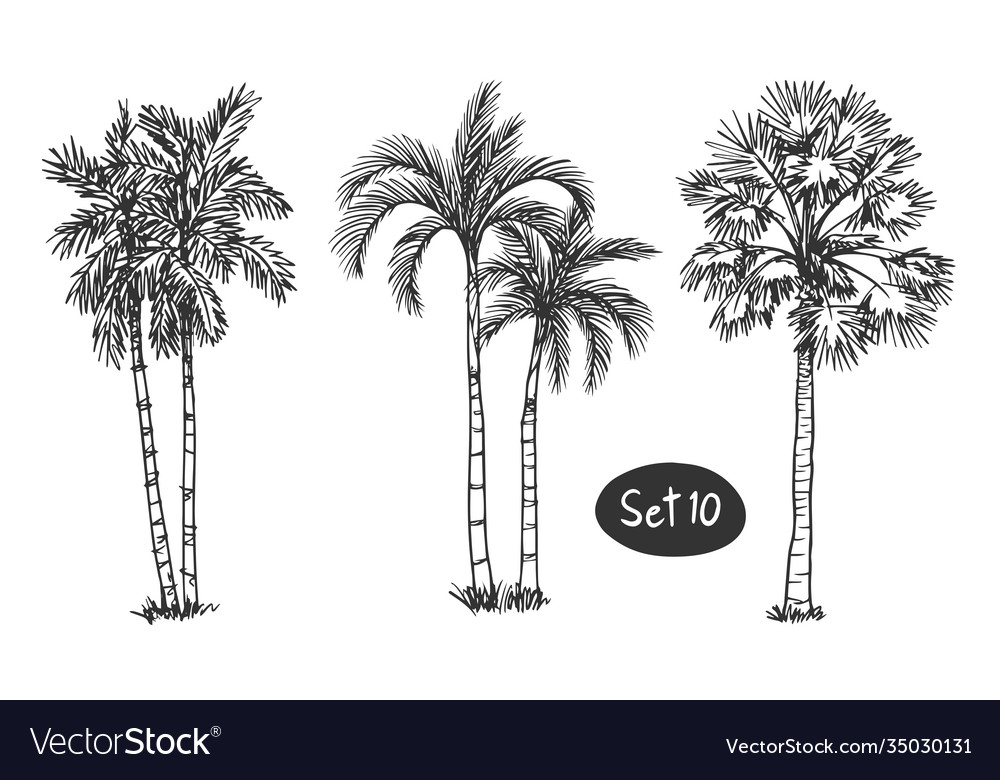 Trees Top View For Architecture Landscape Design Projects Royalty Free SVG,  Cliparts, Vectors, And Stock Illustration. Image 23169929.