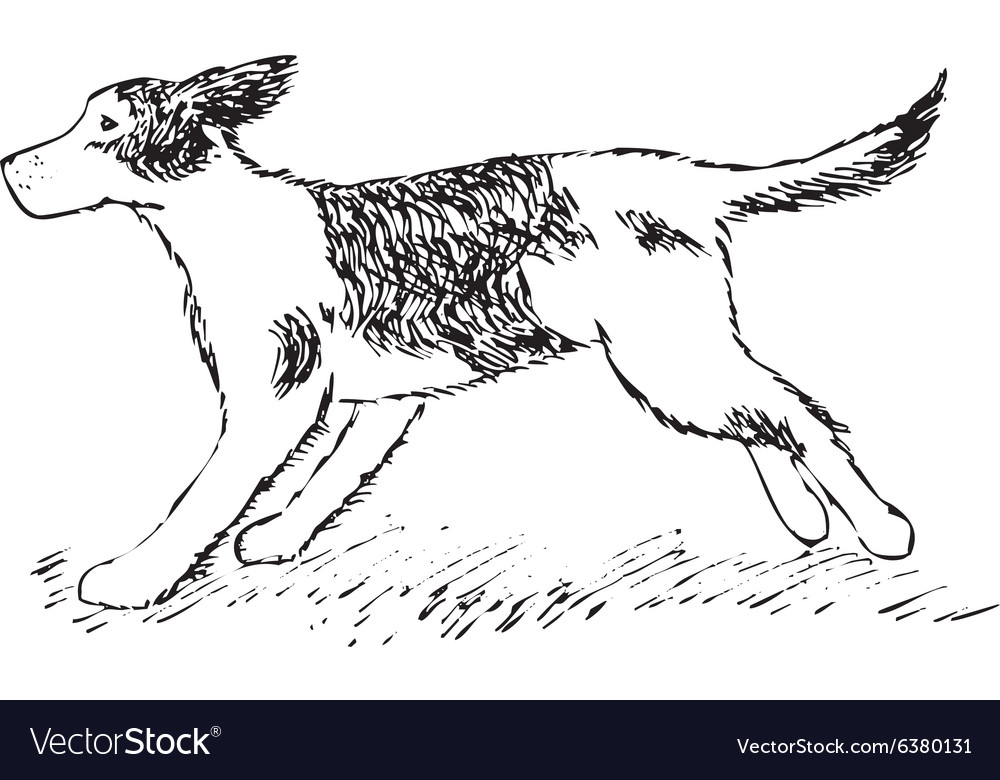 greyhound running drawing