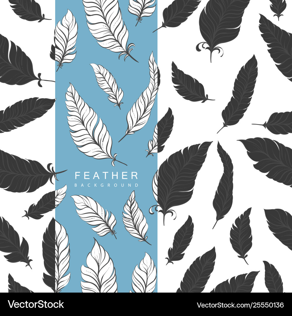 Feathers Royalty Free Vector Image - VectorStock