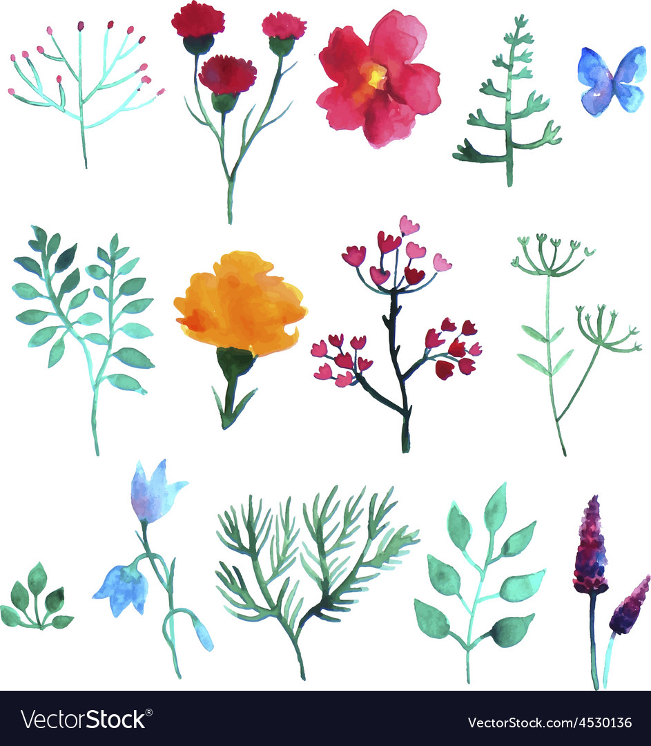 Set of watercolor plants