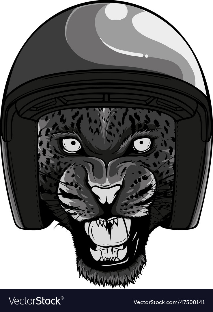 Monochromatic of leopard in vintage Royalty Free Vector