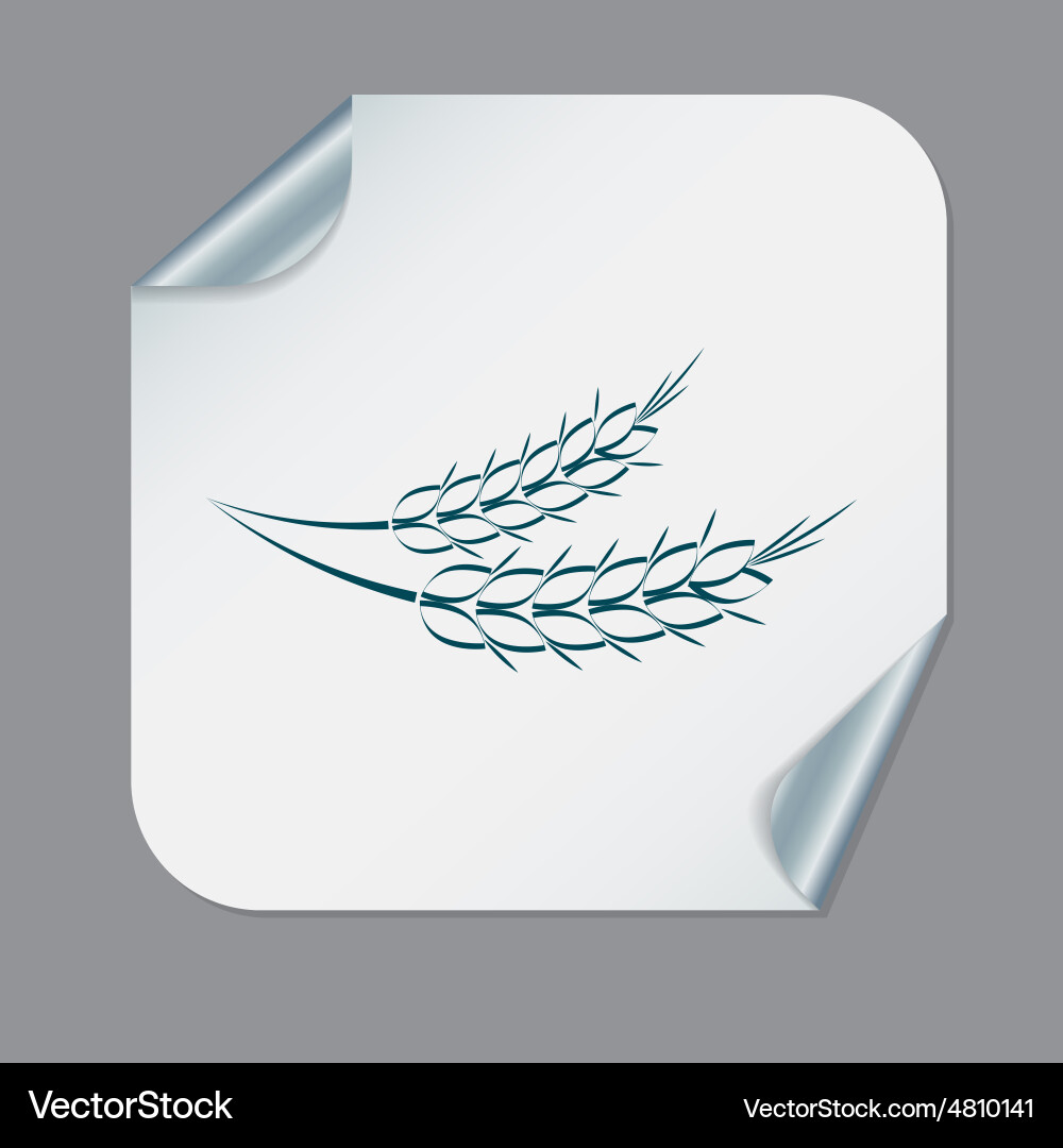 Wheat spike ears icon Royalty Free Vector Image
