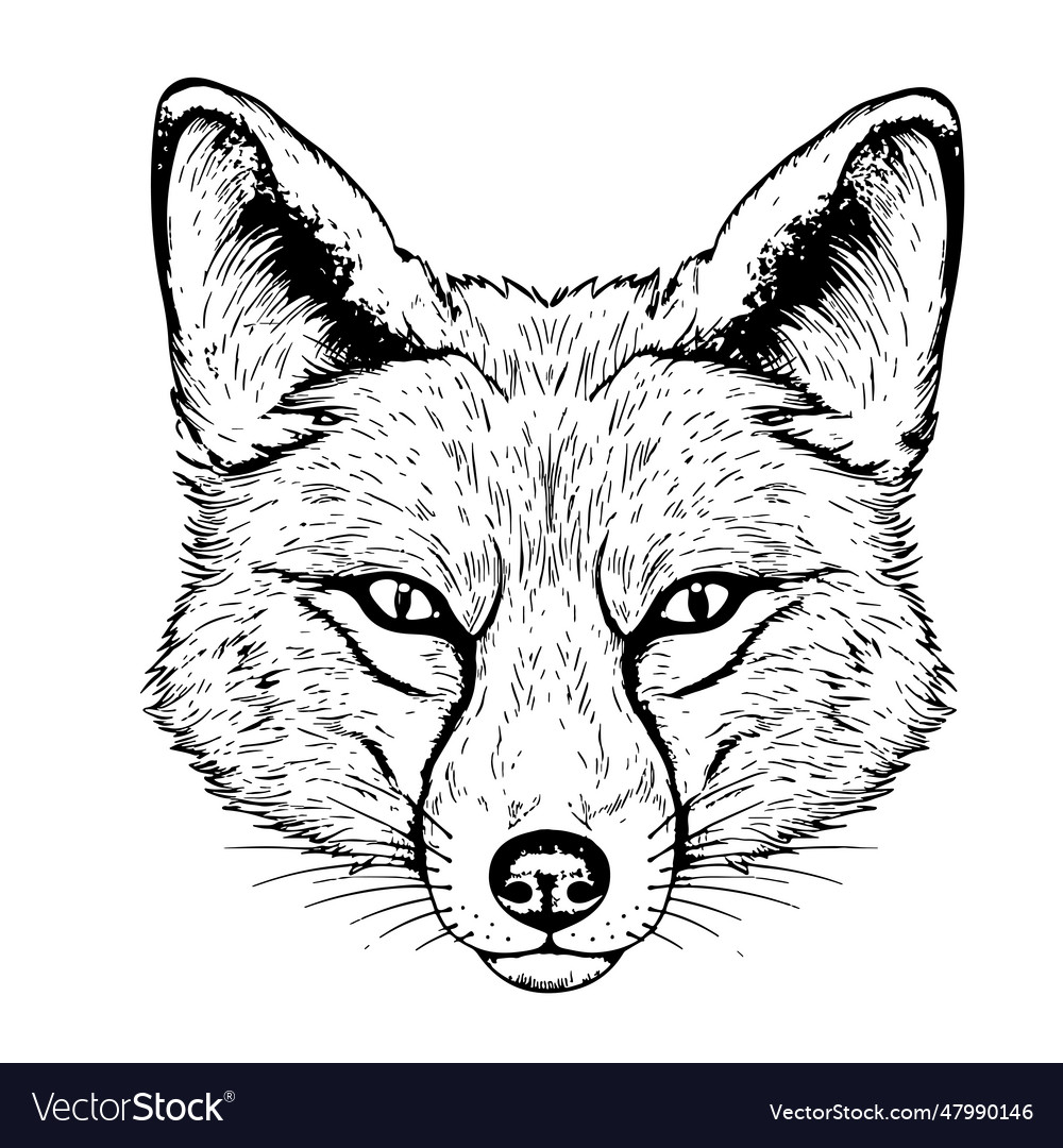 Beautiful fox portrait sketch hand drawn in comic Vector Image