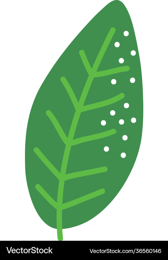 Leaf plant icon Royalty Free Vector Image - VectorStock