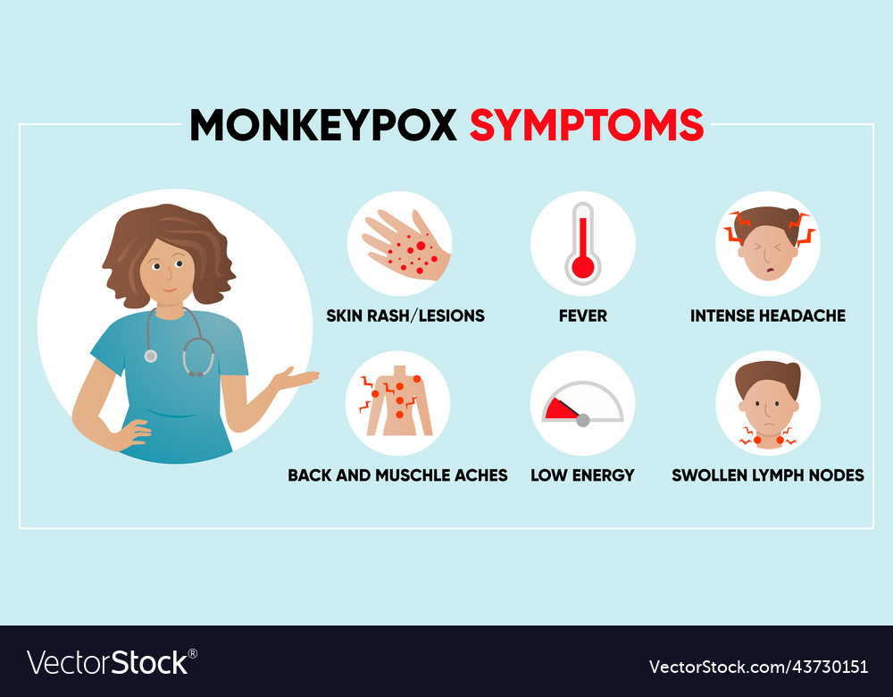 Monkeypox virus symptoms simple infographic post Vector Image