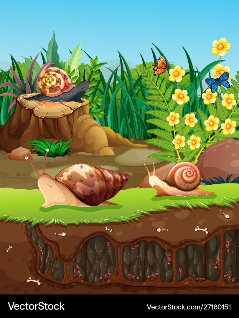 Nature scene with snails crawling in garden Vector Image