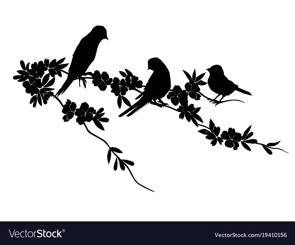 Birds silhouette - 6 different Royalty Free Vector Image