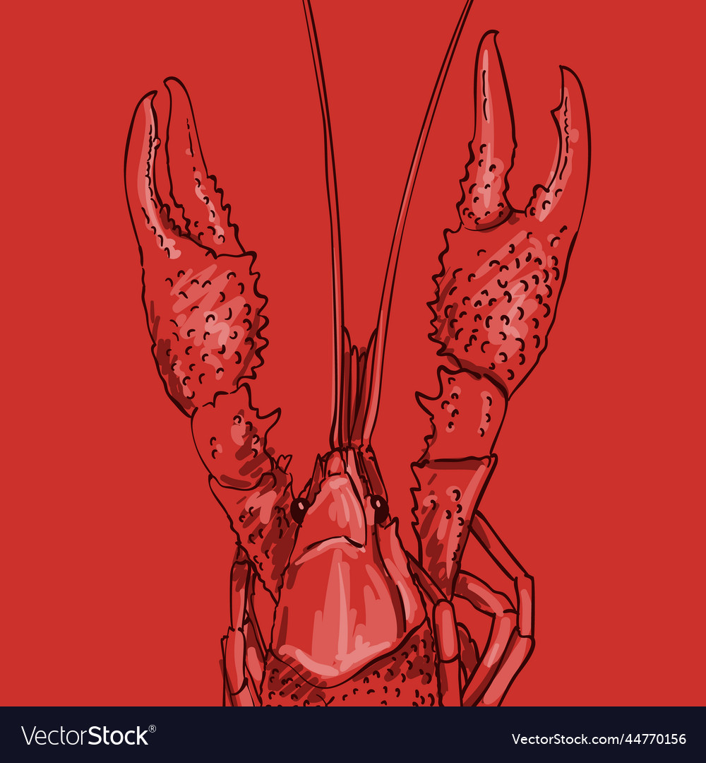 Crayfish Royalty Free Vector Image - VectorStock