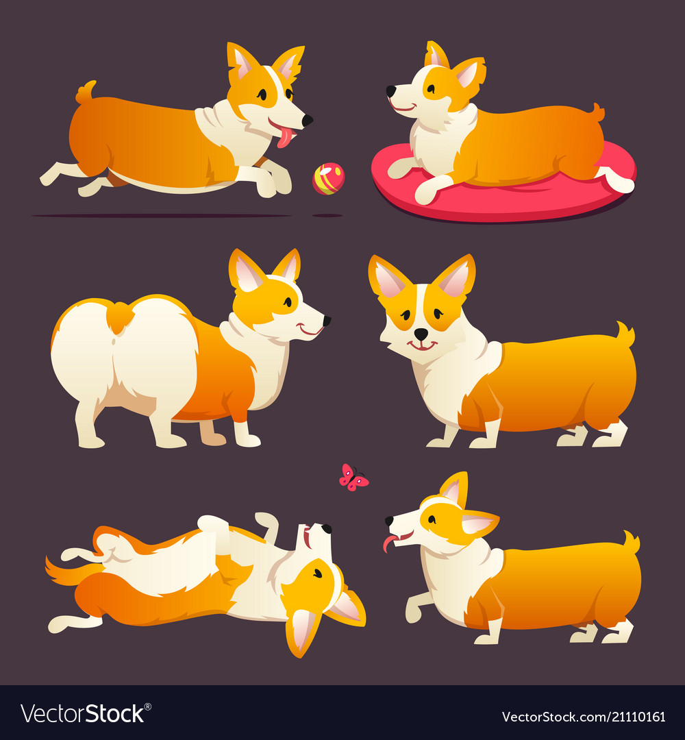 Set Of Cute Dogs Breed Welsh Corgi Pembroke On Vector Image