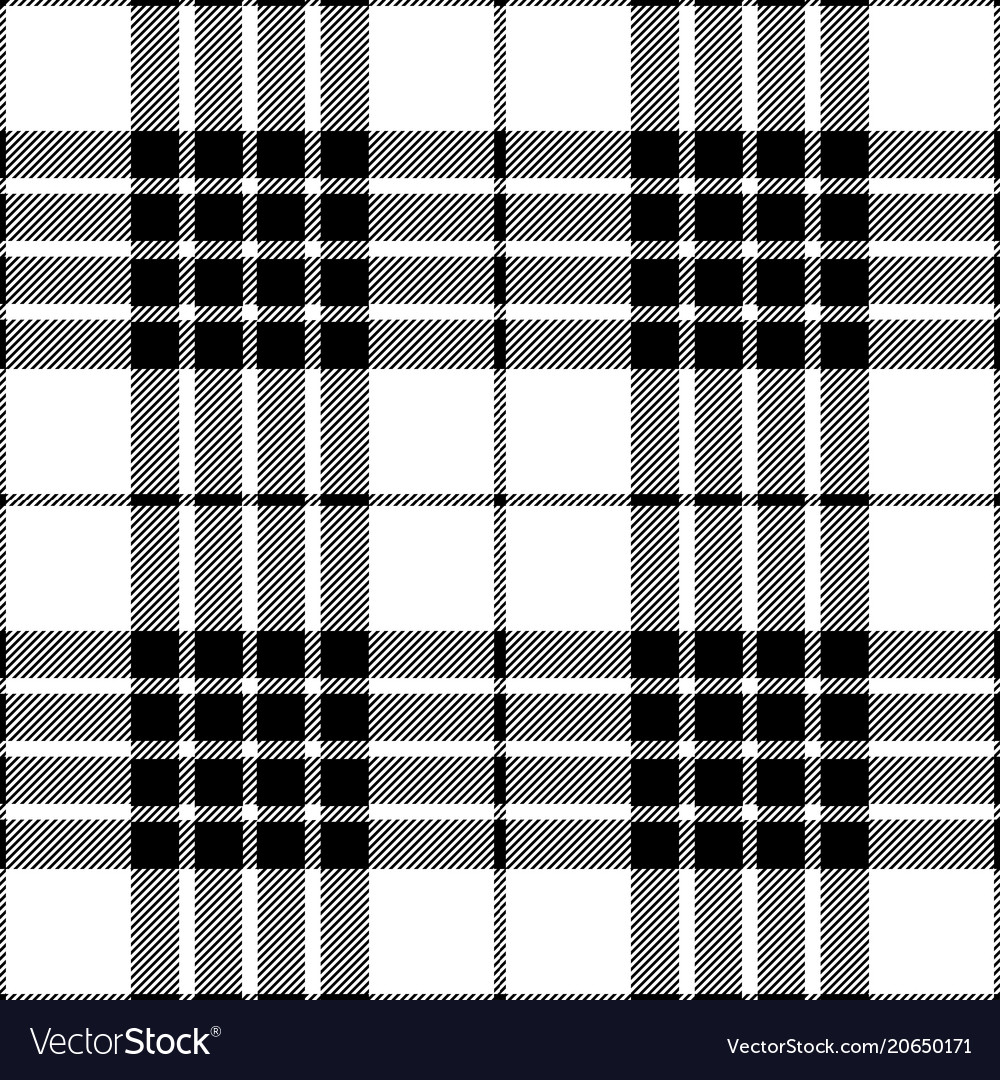 Black and white tartan plaid seamless pattern Vector Image