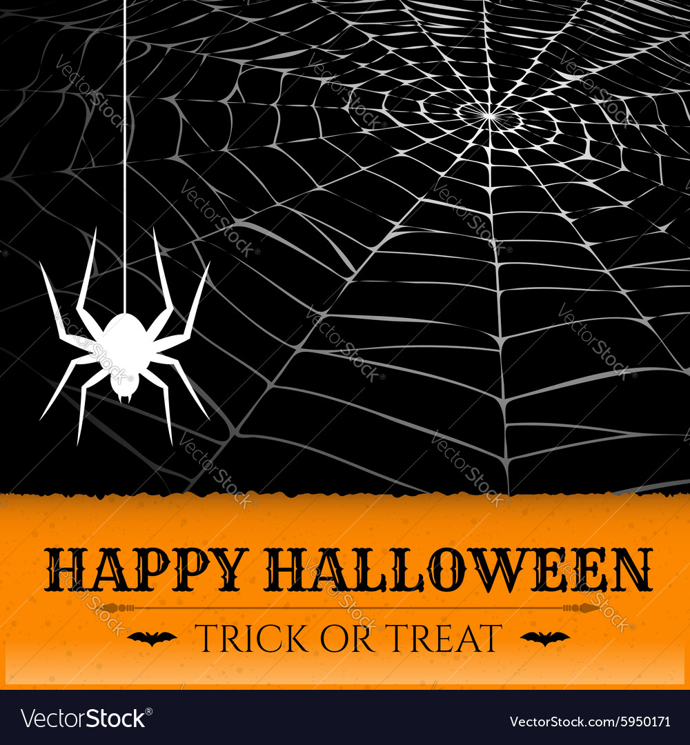 Spider on web Royalty Free Vector Image - VectorStock