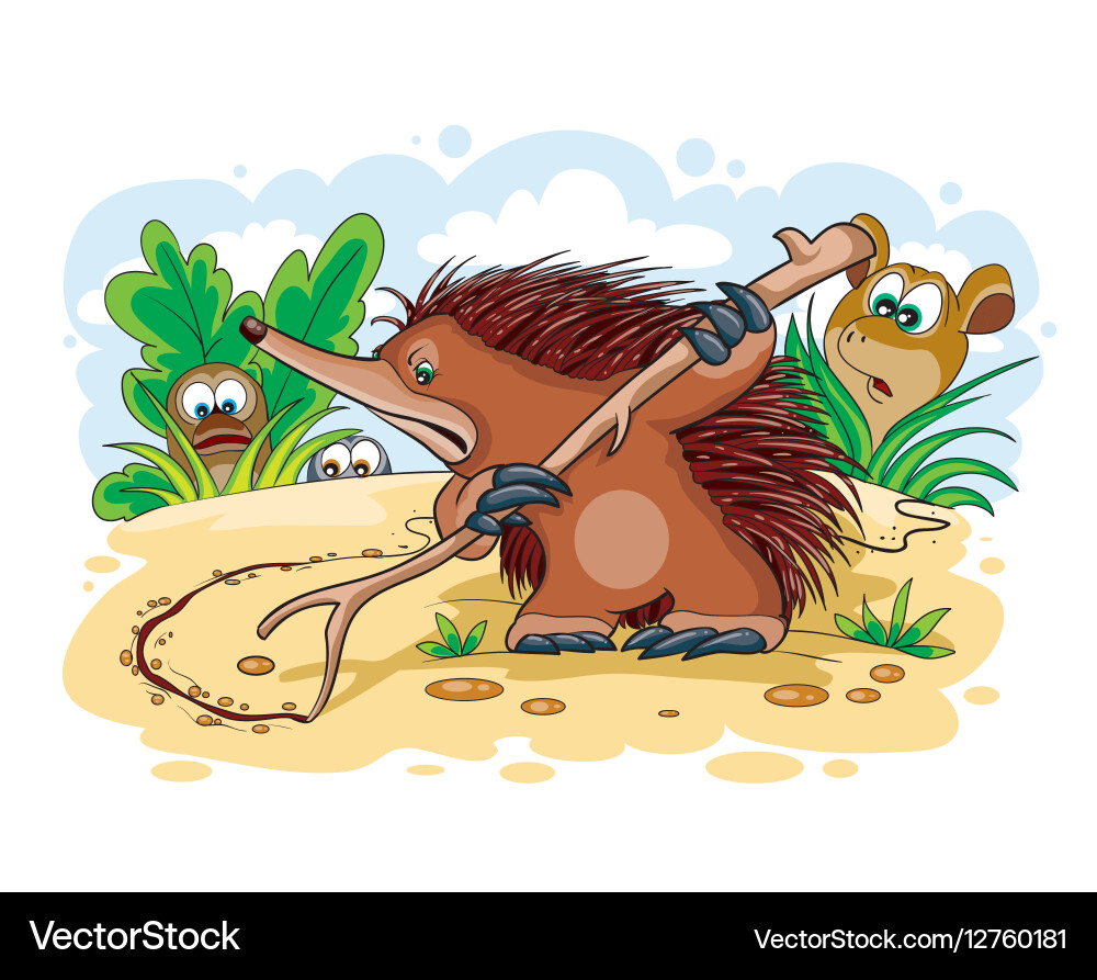 An echidna Royalty Free Vector Image - VectorStock