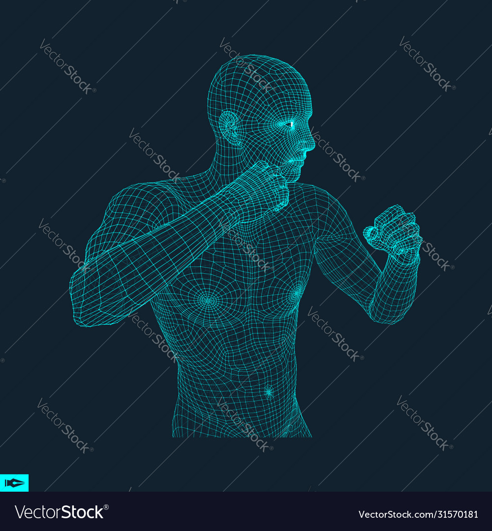 Boxer fighting man 3d model man polygonal Vector Image