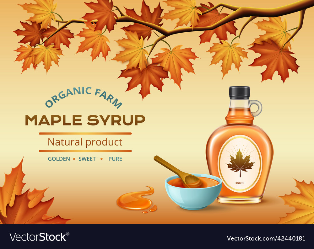 Maple syrup composition Royalty Free Vector Image