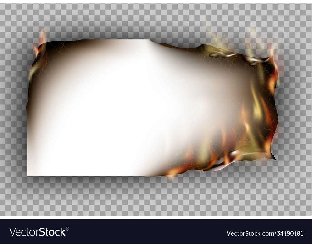 Transparent design burning templates torn paper Vector Image