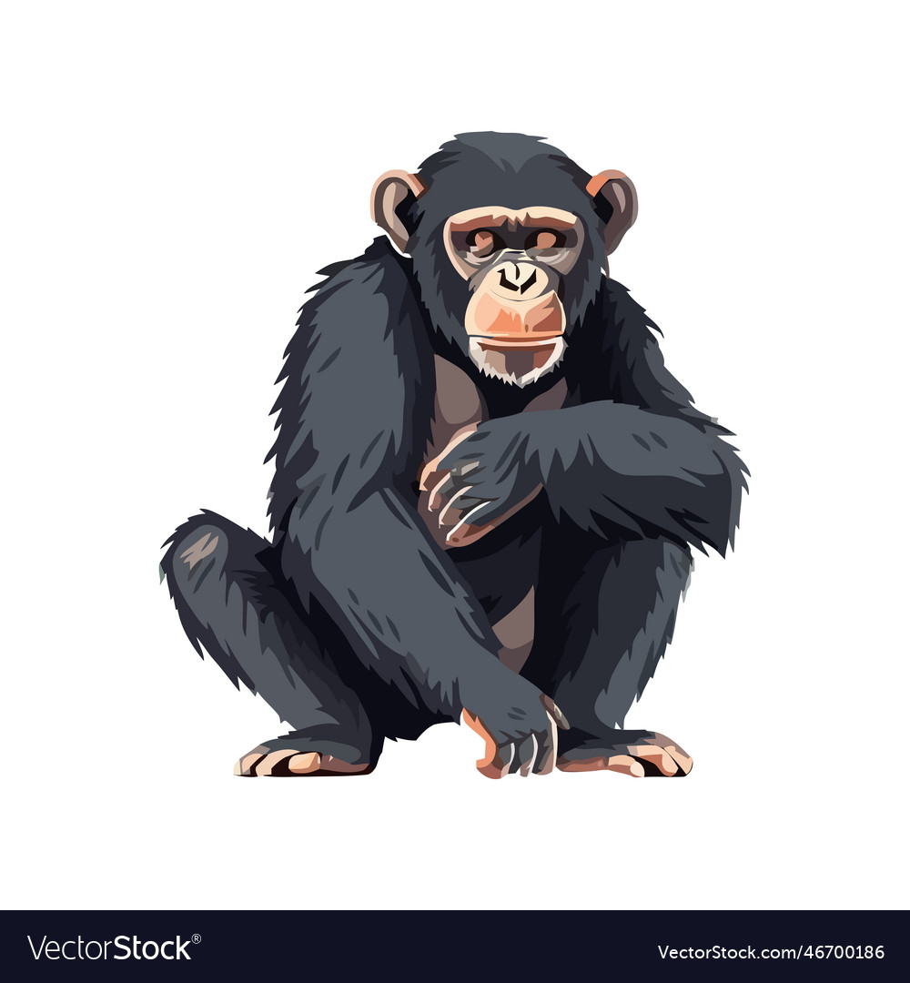 Orangutan animal jungle Royalty Free Vector Image