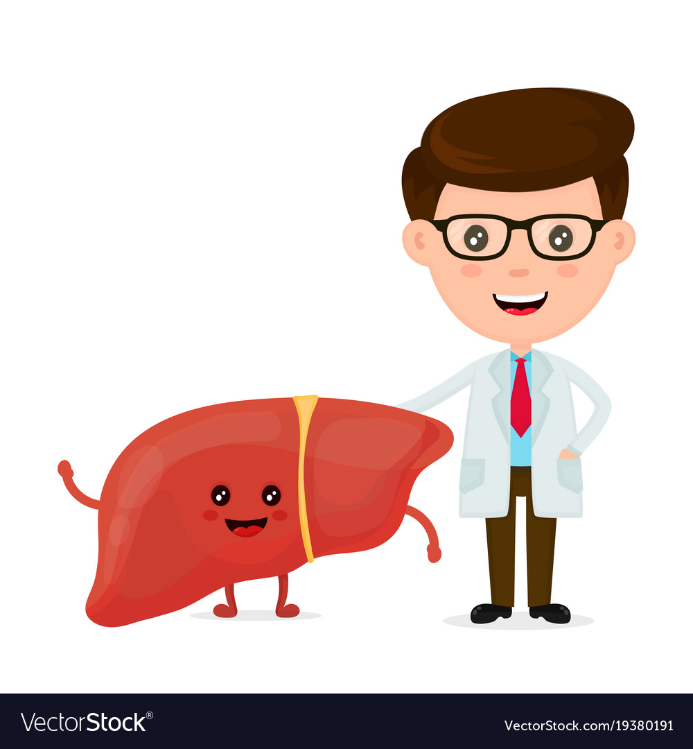 Cute funny smiling doctor and healthy happy liver Vector Image