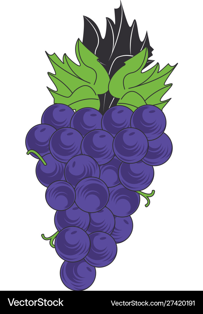 Flat design bunch grapes icon Royalty Free Vector Image