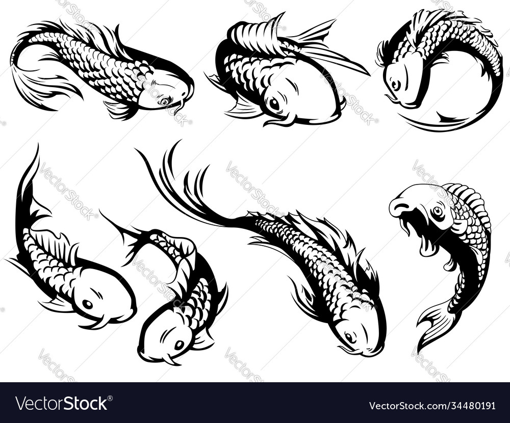 Silhouette japanese carp koi fish swimming Vector Image