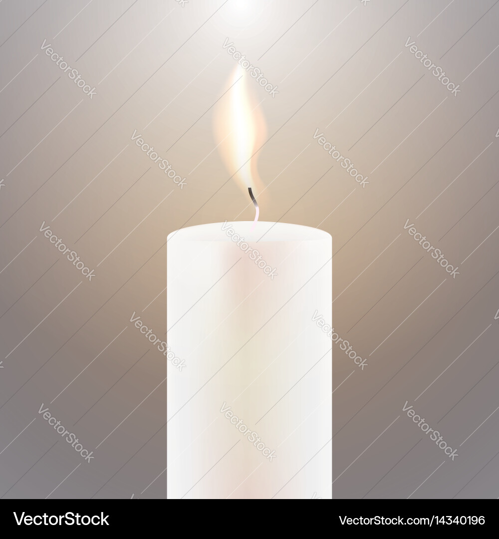 Candle flame Royalty Free Vector Image - VectorStock