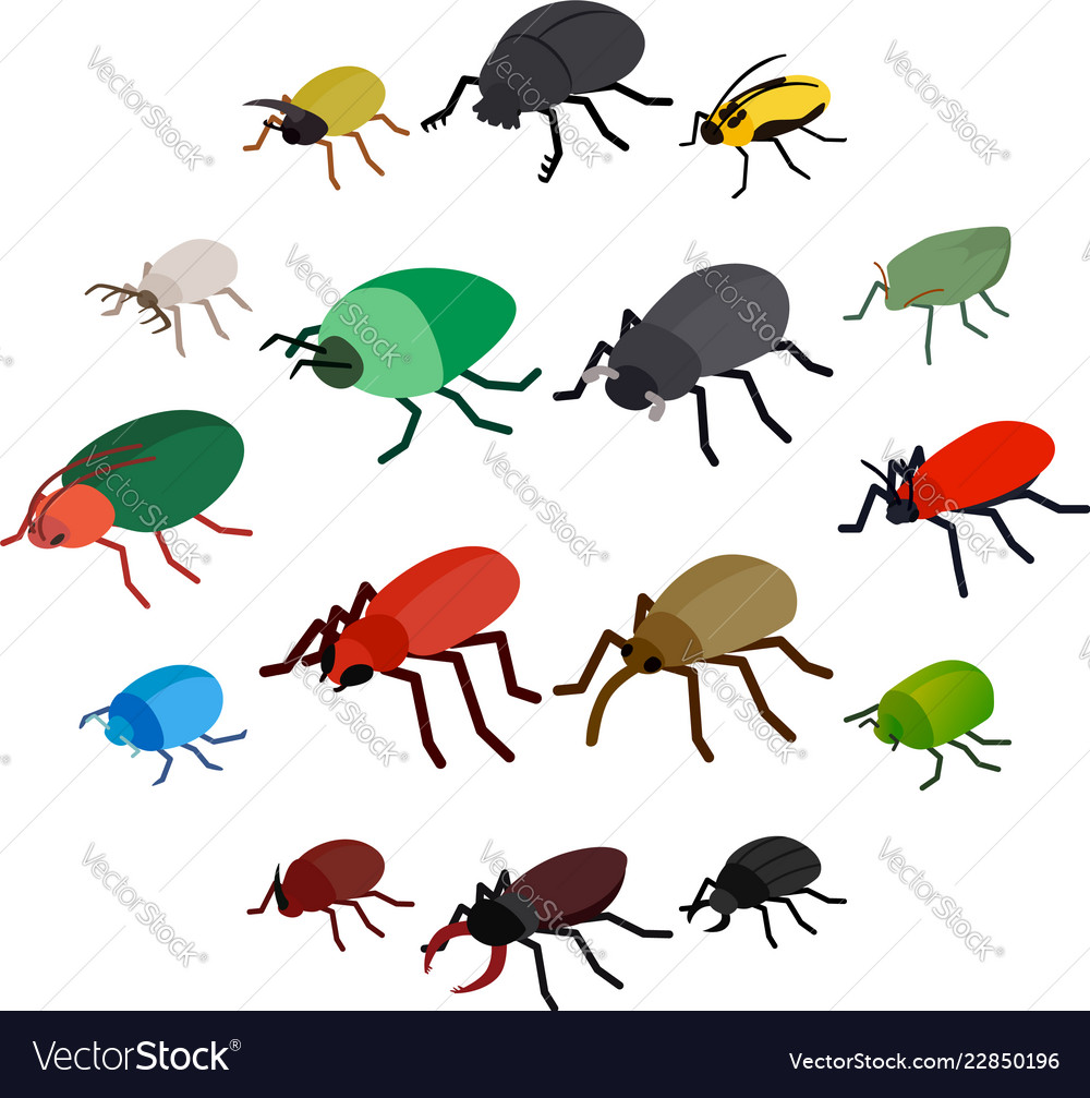 Insect bug icons set isometric 3d style