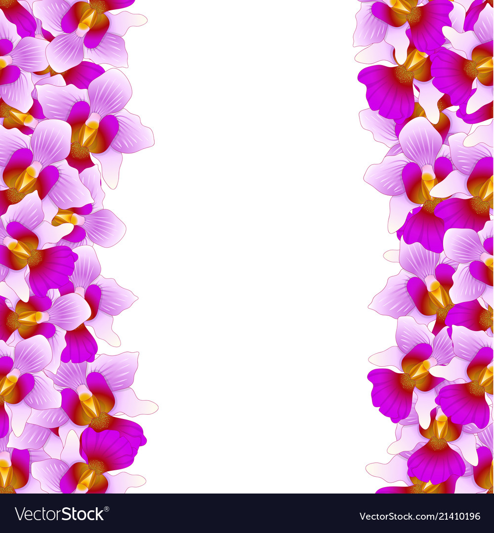 Purple vanda miss joaquim orchid border Royalty Free Vector