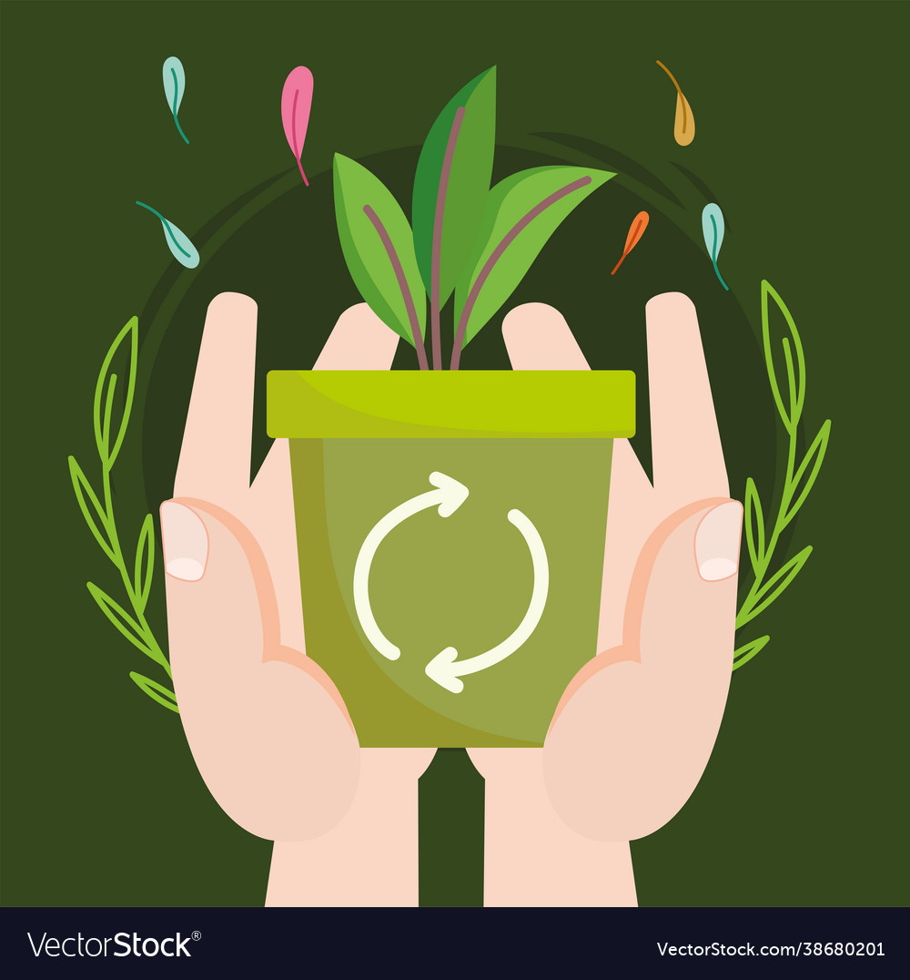 Hands Potted Plant Royalty Free Vector Image Vectorstock