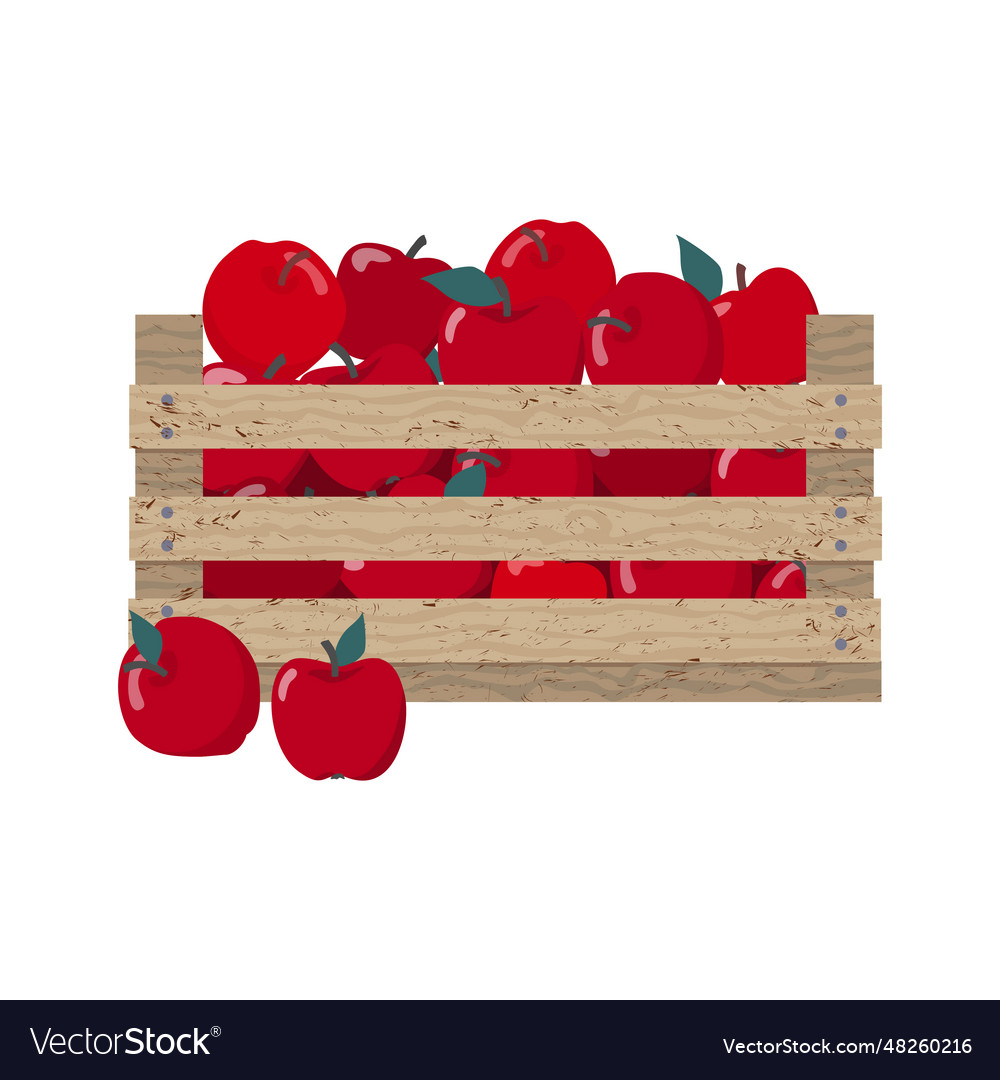 Red apples box Royalty Free Vector Image - VectorStock