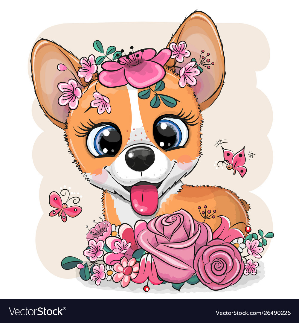 Cartoon corgi with flowers on a white background Vector Image