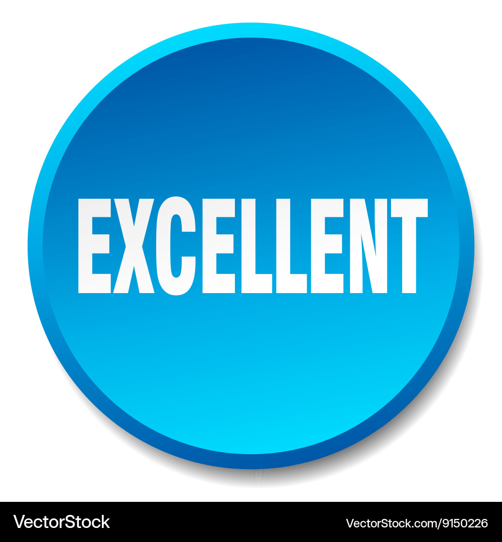 Excellent blue round flat isolated push button Vector Image