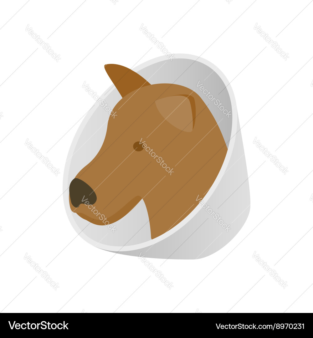 dog neck brace