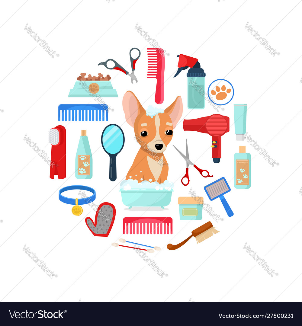 Grooming Tools And Dog Royalty Free Vector Image