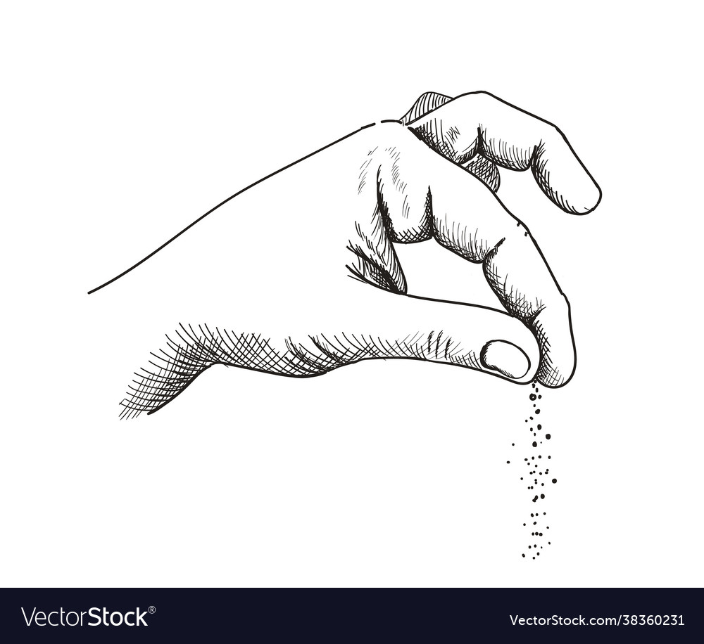 Hand with salt hands gesture salting food Vector Image Hand with salt hands gesture salting food Vector Image