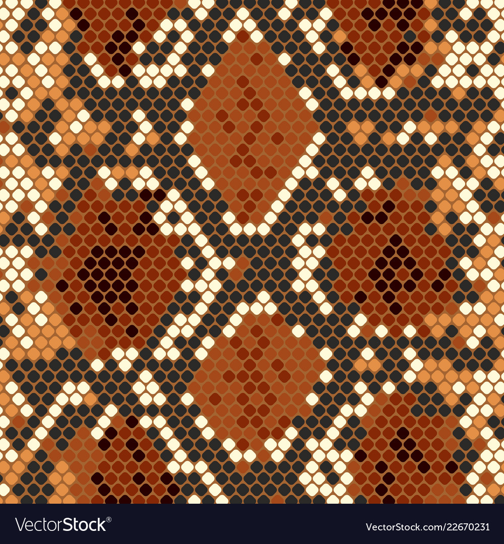 Snake skin texture with imitation python skin Vector Image