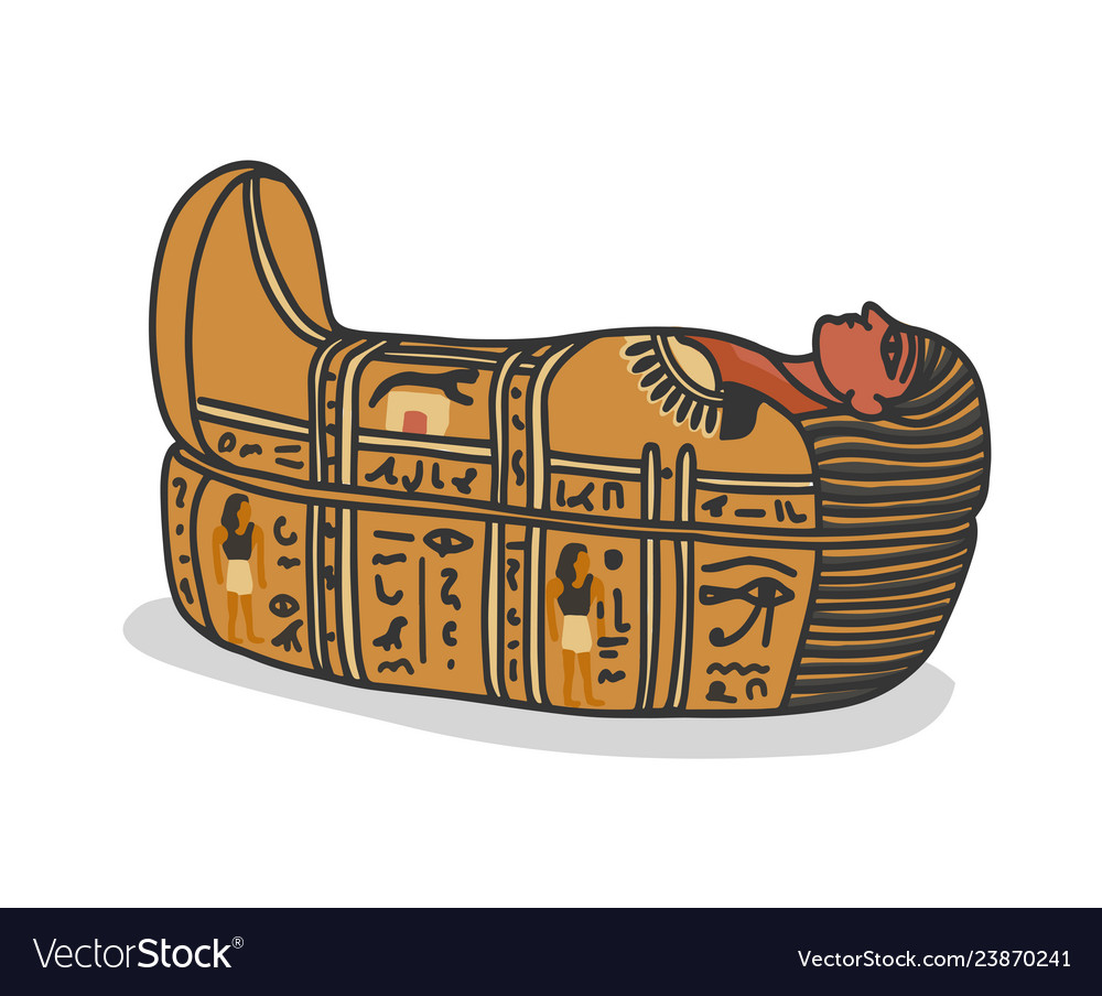 Ancient egyptian sarcophagus for pharaons mummy Vector Image