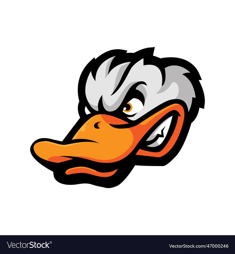 Angry duck Royalty Free Vector Image - VectorStock