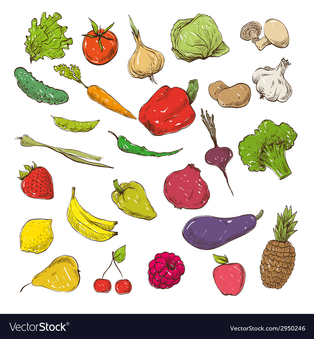 Free Vector, Realistic drawing vegetables