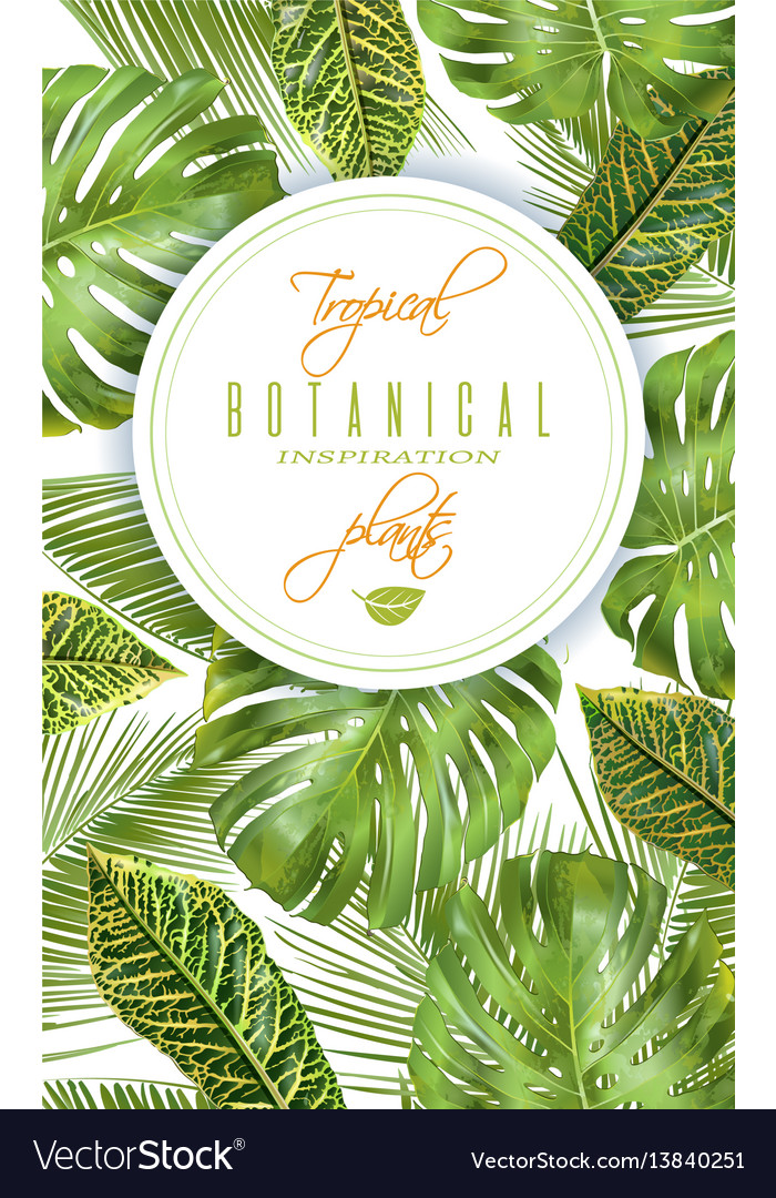Tropical Vertical Banner Royalty Free Vector Image