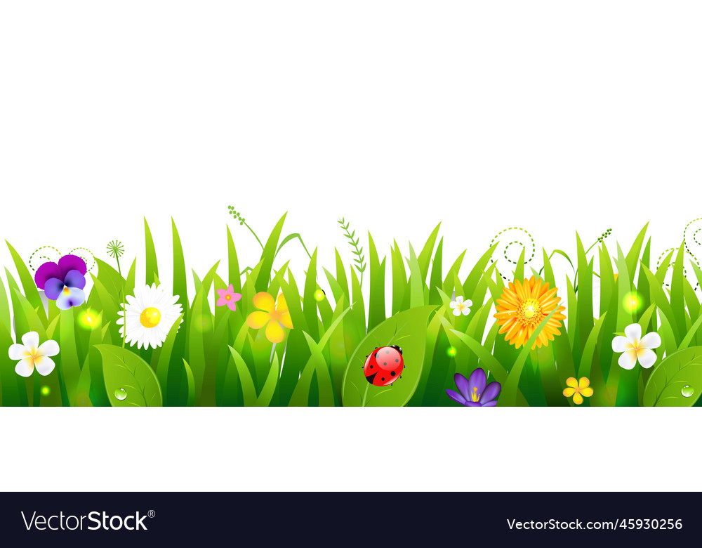 Flowers and grass border nature background Vector Image