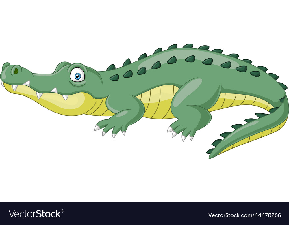 Cartoon crocodile isolated on white background Vector Image